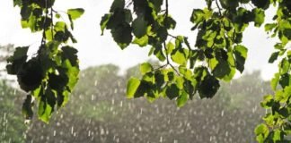 გარემოს ეროვნული სააგენტო: 7 ივლისამდე მაღალი ტემპერატურის ფონზე ზოგან გაწვიმდება, შესაძლებელია სეტყვა და ქარის გაძლიერება