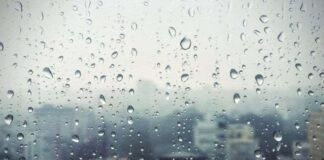 8-10 თებერვალს საქართველოში მოსალოდნელი ამინდი