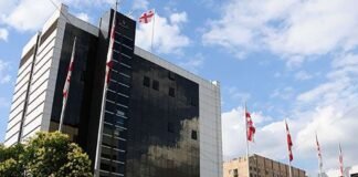 ბოლნისში სამხედრო თვითმფრინავის ჩამოვარდნას პილოტი ემსხვერპლა