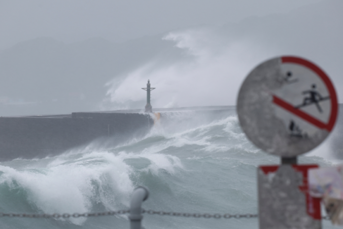 ტაიფუნი