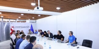 საერთაშორისო საკონსულტაციო შვეიცარიულმა კომპანიამ საქართველოში 22 მყინვარულ ხეობაში კვლევების პირველი ეტაპი დაასრულა