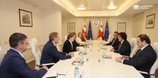 ირაკლი კობახიძე ამერიკის შეერთებული შტატების სენატორ ჯინ შაჰინსა და კონგრესმენ მაიკ ტერნერს შეხვდა