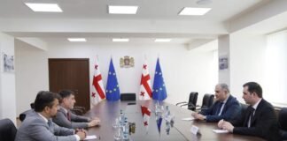 მიხეილ სარჯველაძე ევროპარლამენტის წევრს და სლოვაკეთის პარლამენტის ევროპულ საქმეთა კომიტეტის ვიცე-პრეზიდენტს შეხვდა