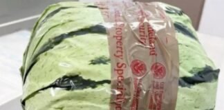 29 წლის მამაკაცს საზღვარზე საზამთროთი შენიღბული 5 მლნ აშშ დოლარის ღირებულების ამფეტამინი გადაჰქონდა – შემთხვევა კალიფორნიაში მოხდა