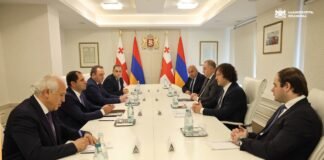 ირაკლი კობახიძე სომხეთის რესპუბლიკის თავდაცვის მინისტრ სურენ პაპიკიანს შეხვდა