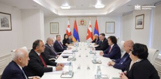 ირაკლი კობახიძე სომხეთის პრემიერ-მინისტრ ნიკოლ ფაშინიანს შეხვდა