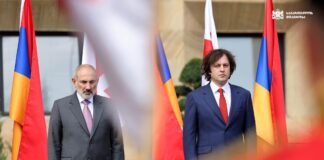 საქართველოს ოფიციალური ვიზიტით სომხეთის რესპუბლიკის პრემიერ-მინისტრი ნიკოლ ფაშინიანი ეწვია