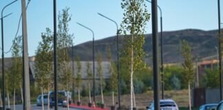 რუსთავში, აფხაზეთის ახალ ქუჩაზე, რომლის რეაბილიტაციაც ახლახან დასრულდა, გამწვანების აქცია გაიმართა