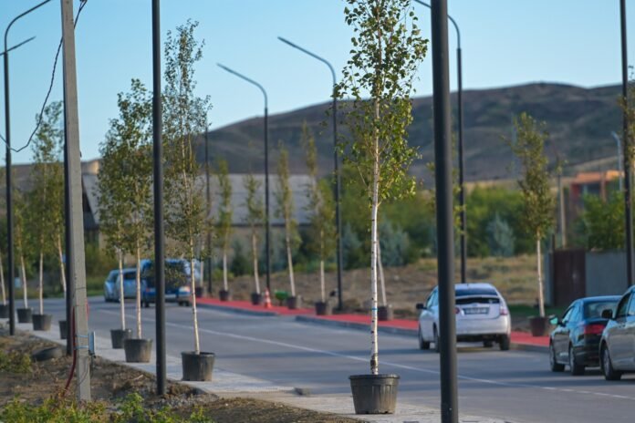 461194075_520287360624596_2365641622277834883_n