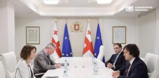 ირაკლი კობახიძე ამერიკის შეერთებული შტატების ელჩს, რობინ დანიგანს შეხვდა