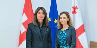 ნინო ლაცაბიძე ნიდერლანდების სამეფოს ელჩს შეხვდასამეფოს ელჩს საქართველოში, მელინე არაკელიანს შეხვდა