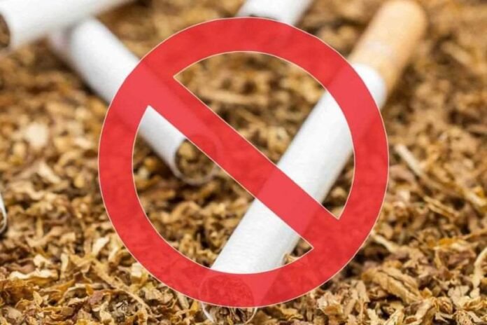 untitled-design-2024-04-22t164417-017