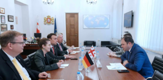 ნიკოლოზ სამხარაძე გერმანიის ბუნდესთაგის წარმომადგენლებს შეხვდა