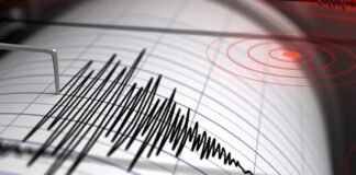 საქართველოში მიწისძვრა მოხდა