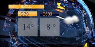 ,,ქრონიკის” დაიჯესტი 15.10.2024