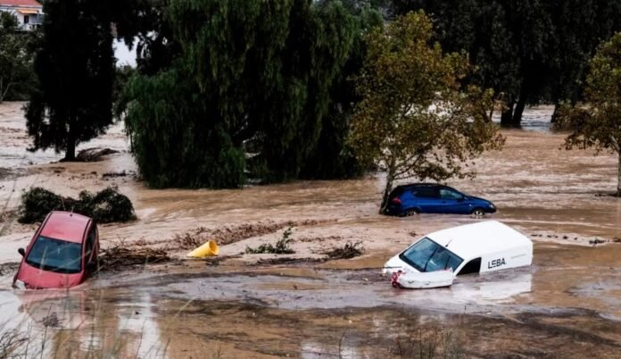 1730234590-WYALDIDOBA-ESPANET