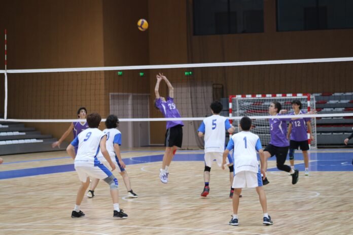 463930394_122114593970551968_4034998938198279042_n