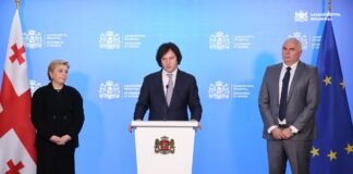 საქართველოს კულტურისა და სპორტის მინისტრად თინათინ რუხაძე დაინიშნა