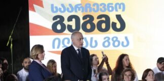 ეს ციფრები ეწინააღმდეგება საქართველოს ისტორიულ და დღევანდელ არჩევნებს – ანა დოლიძე