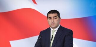 პაპუაშვილი – პარლამენტი შეიკრიბება და 76 ხმით 150 დეპუტატის უფლებამოსილებას ცნობს!