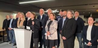 არ გაპატიებთ ამ კრიმინალს, ვიკრიბებით რუსთაველზე – ელენე ხოშტარია