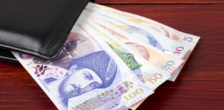 „საქსტატი“ – 2023 წელს საქართველოში დაქირავებით დასაქმებულთა საშუალო ხელფასი გასულ წელთან შედარებით 223.8 ლარით გაიზარდა და 1 766.8 ლარი შეადგინა