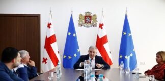 მიხეილ სარჯველაძე ჯანდაცვის ასოციაციის წევრებს შეხვდა