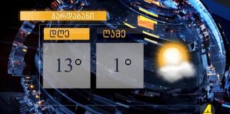 ,,ქრონიკის” დაიჯესტი 13.11.2024