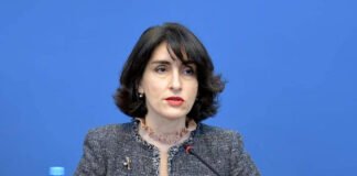პრემიერმა საგარეო საქმეთა მინისტრობის კანდიდატად მაკა ბოჭორიშვილი წარადგინა