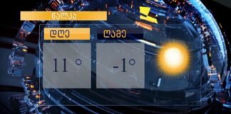 ,,ქრონიკის” დაიჯესტი 22.11.2024