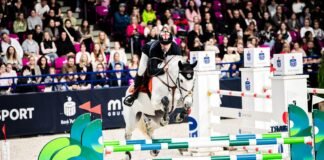 ქართველი ცხენოსანი მსოფლიოს თასის ფინალში პირველად იასპარეზებს