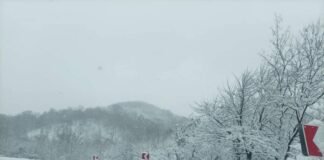 დიდთოვლობის გამო, შიდასახელმწიფოებრივ გზებზე შეზღუდვები მოქმედებს