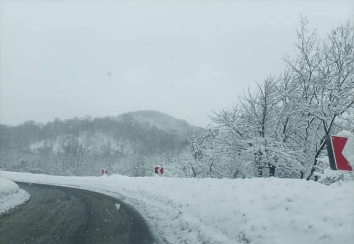 FB_IMG_1730786961374