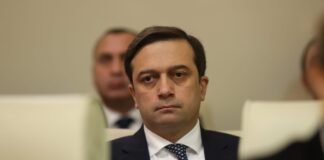 ომბუდსმენის აპარატის 40-მდე თანამშრომელი იოსელიანის პოზიციას საჯაროდ ემიჯნება