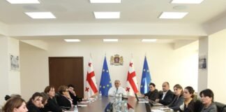 ჯანდაცვის მინისტრი შაქრიანი დიაბეტი ტიპი 1-ის მქონე ბავშვების მშობლებს შეხვდა