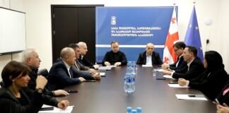 ჯანდაცვის სამინისტრო იძულებით გადაადგილებულ 603 ოჯახს სოფლად სახლს შეუსყიდის