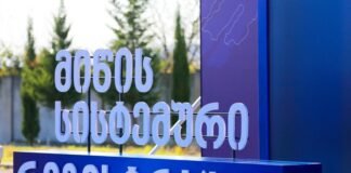 მიწის სისტემური რეგისტრაციის რეფორმა 2025 წლის ბოლომდე გაგრძელდება
