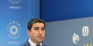 პაპუაშვილმა EU-ს 8 ქვეყნის პარლამენტის წევრისგან შემდგარ დელეგაციას შეხვედრაზე უარი უთხრა