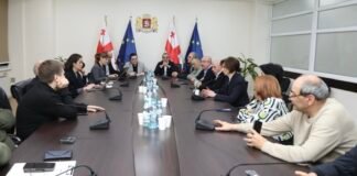 ჯანდაცვის მინისტრის მოადგილეები, დიალიზის სერვისის მიმწოდებელი დაწესებულებებისა და დიალიზის, ნეფროლოგიისა და თირკმლის ტრანსპლანტაციის კავშირის წარმომადგენლებს შეხვდნენ