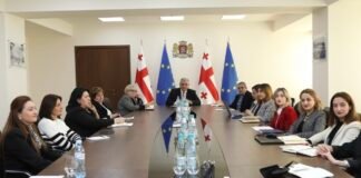 მიხეილ სარჯველაძე, სამომავლო პრიორიტეტების, საჭიროებებისა და მომავალი წლის ბიუჯეტის განსაზღვრის მიზნით, დღის ცენტრების მომსახურების მიმწოდებელი ორგანიზაციების წარმომადგენლებს შეხვდა