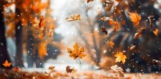 საქართველოში ამინდი უარესდება – გარემოს ეროვნული სააგენტო მოსახლეობას აფრთხილებს