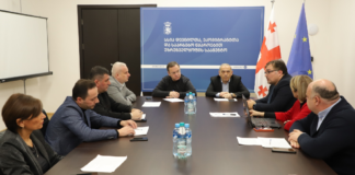 დევნილთა სააგენტო სტიქიური მოვლენების შედეგად დაზარალებულ 251 ოჯახს სახლებს შეუსყიდის