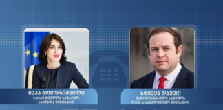 მაკა ბოჭორიშვილი გაერთიანებული სამეფოს სახელმწიფო მინისტრს, სტივენ დაუთის ესაუბრა