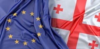 ევროპის საბჭოს გენერალური მდივანი სალომე ზურაბიშვილსა და ირაკლი კობახიძეს ესაუბრა