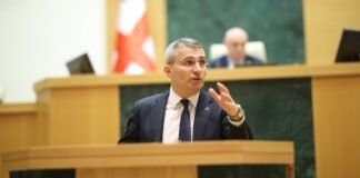 მამუკა მდინარაძე – არ აქვს მნიშვნელობა 3000 ადამიანი დგას აქციაზე თუ 7000, რეალობა ისაა, რომ ამას დიდი ორგანიზება და ფული სჭირდება