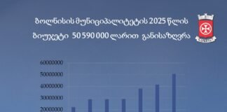 ბოლნისის მუნიციპალიტეტის 2025 წლის ბიუჯეტი 50 590 000 ლარით განისაზღვრა