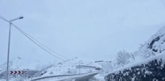 ხაშური-ახალციხე-ვალეს გზაზე მისაბმელიანი და ნახევრადმისაბმელიანი ავტოტრანსპორტის მოძრაობა აღდგენილია.