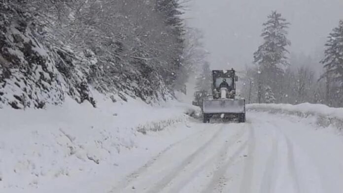 470596755_981363934021842_26939709546060798_n