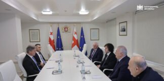 ირაკლი კობახიძე ევროპის საწყლოსნო ფედერაციის პრეზიდენტ ანტონიო და სილვას შეხვდა