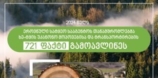 ეროვნული სატყეო სააგენტოს თანამშრომლებმა 2024 წელს სამართალდარღვევის 700-ზე მეტი ფაქტი გამოავლინეს